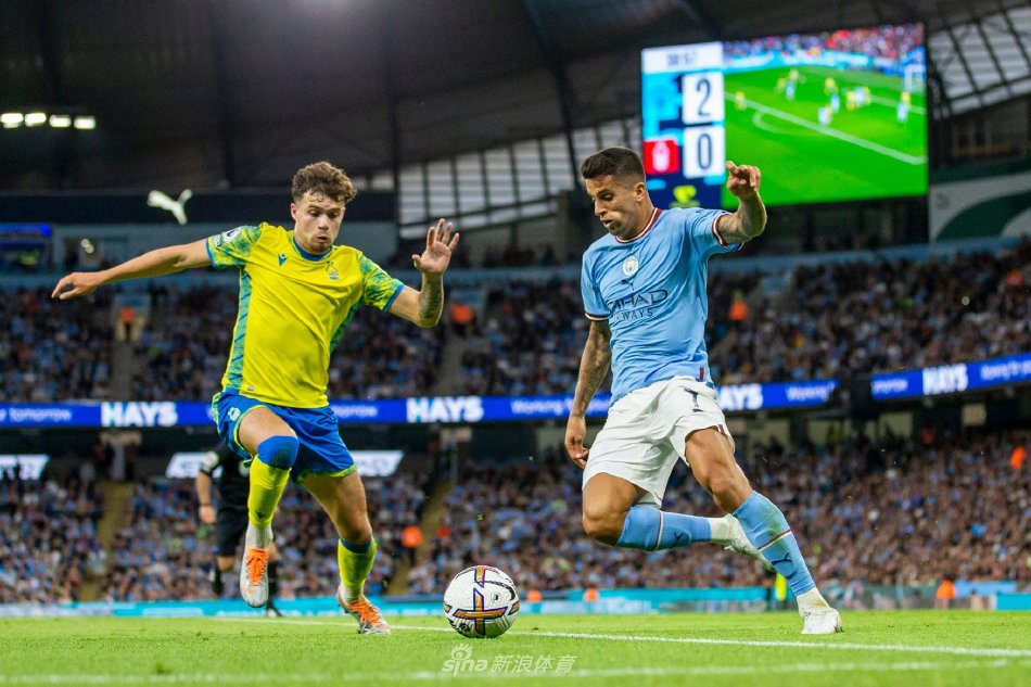 数据显示 数据显示